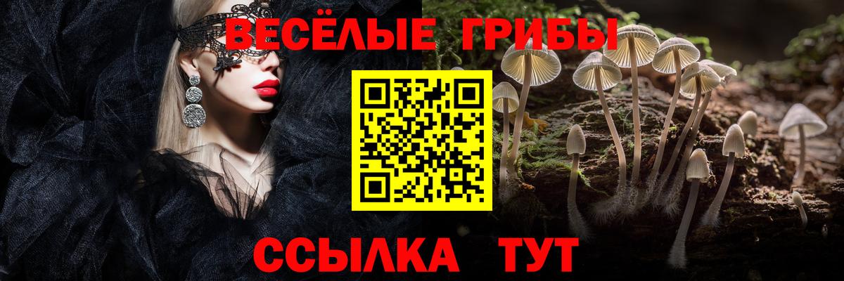 Куйбышев  Псилоцибиновые грибы Magic Shrooms  Вход с VPN 